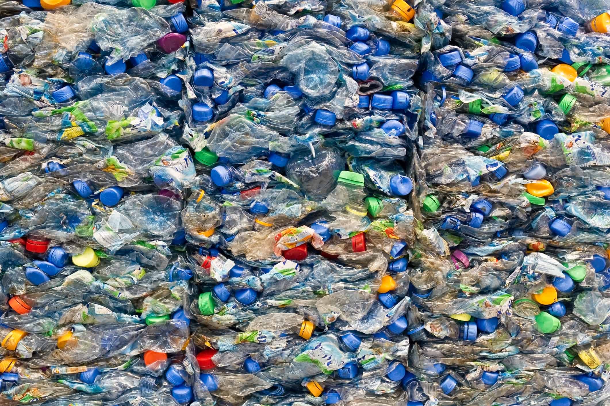 iafns Cheap, Abundant Recycled Plastics Show Promise for Food Packaging