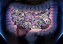 IAFNS STANDARDIZING METHOD AND DEVELOPMENT OF NORMAL VALUES TO MEASURE HUMAN SMALL INTESTINAL AND COLONIC PERMEABILITY