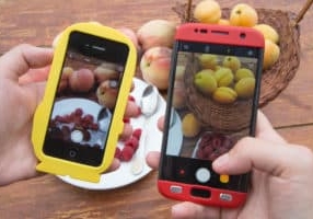 Woman hands taking phone photo of Fresh Healthy Organic Fruits. Smartphone photography of lunch, dinner. Raw vegan vegetarian healthy foo